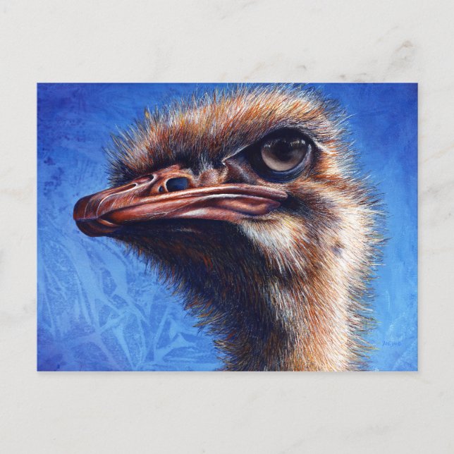 Cartão Postal Placa de Posto Ostrich (Frente)