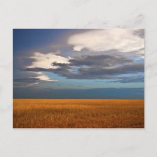 Cartão Postal Placa de Posto para pintura de óleo fina com campo