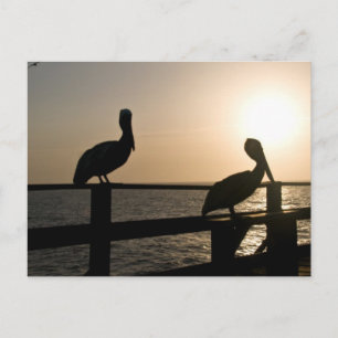 Cartão Postal Placa de Posto Pelican