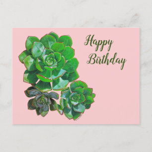 Cartão Postal Placa de Posto Rosette Succulent