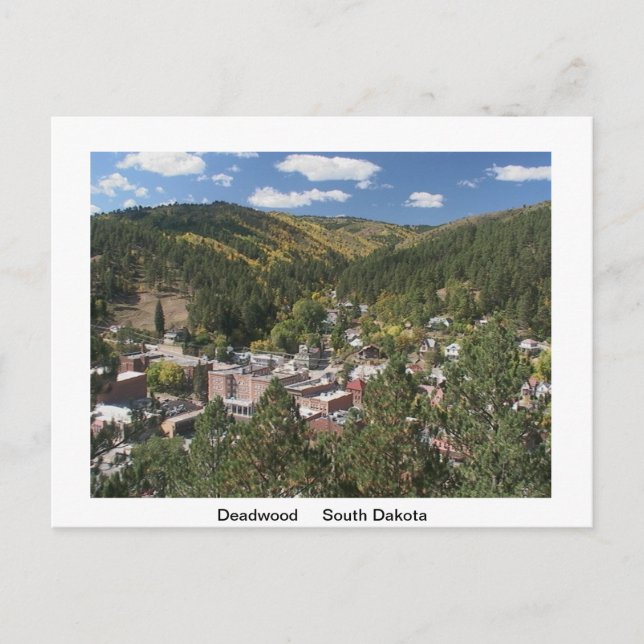 Cartão Postal Placa de Posto Scenical america (Frente)