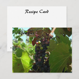 Cartão Postal Placa de receita - Uvas na vinha