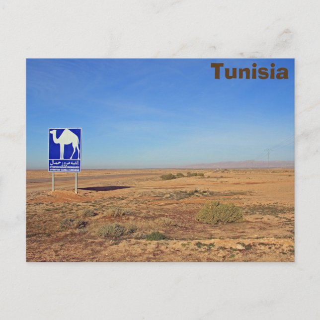 Cartão Postal Placa de sinalização, Tunísia (Frente)