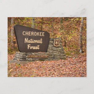 Cartão Postal Placa do Cherokee National Forest no outono no Ten