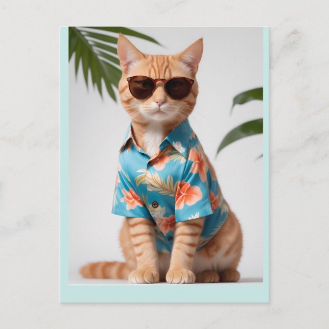 CARTÃO POSTAL PLACA GATO COM PÓS-ÓCULOS (Frente)