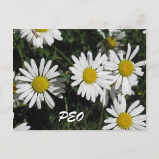Cartão Postal Placa PEO