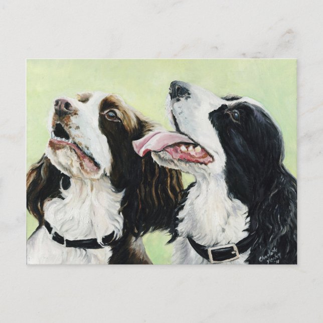 Cartão Postal Placa Posta de Arte Original para Springer Begers (Frente)