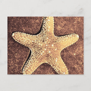 Cartão Postal Placa Postada de Starfish de Bronze