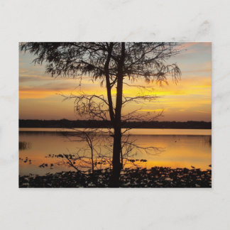 Cartão Postal Placa Postada Sunset 138 Florida