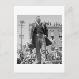 Cartão Postal Placa Stereoview Roosevelt Do ursinho 1905 Vintage