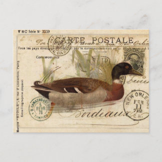 Cartão Postal Placa Vintage Duck