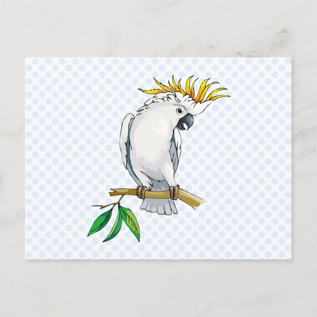 Cartão Postal Placido Parrot (Frente)