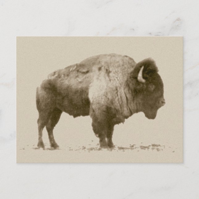 Cartão Postal Plains (Frente)