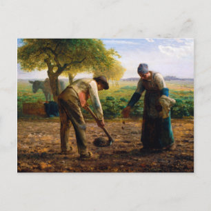 Cartão Postal Planadores de Batata por Jean-François Millet (186