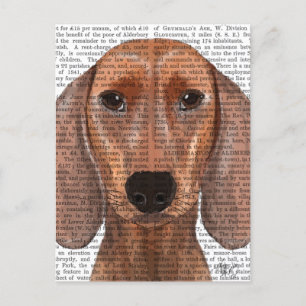 Cartão Postal Planilha de Ilustração de Dachshund