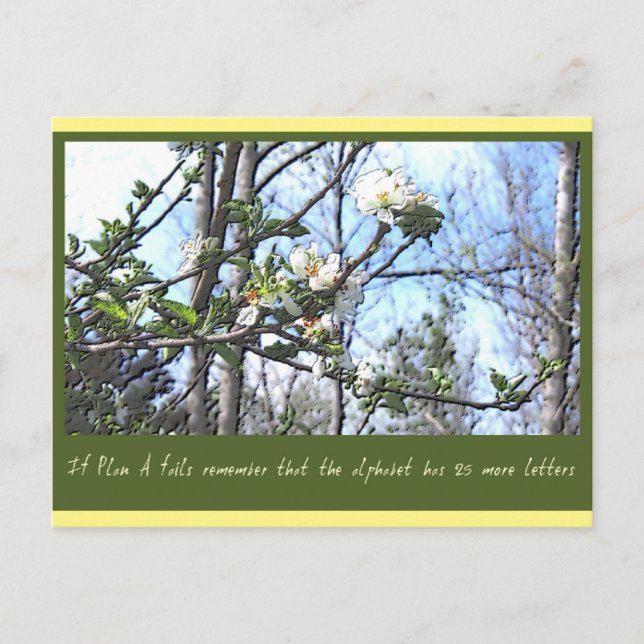 Cartão Postal Plano A (Frente)