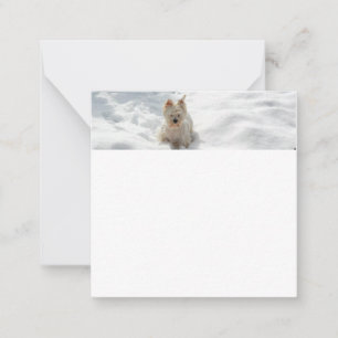 Cartão Postal Plano com Foto de Cachorro Westie Sn