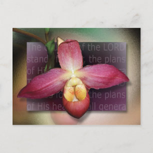 Cartão Postal Planos de Seu Coração