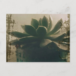 Cartão Postal Planta
