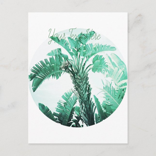 Cartão Postal Planta de banana folha verde (Frente)