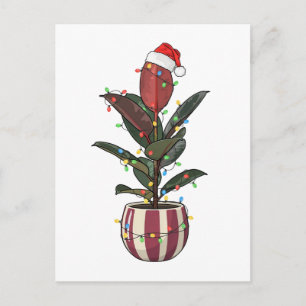 Cartão Postal Planta de Borracha Ficus Santa Chapéu Luzes de Nat