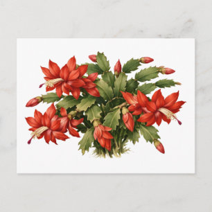 Cartão Postal Planta de Cacto de Natal Vermelho em Flor 