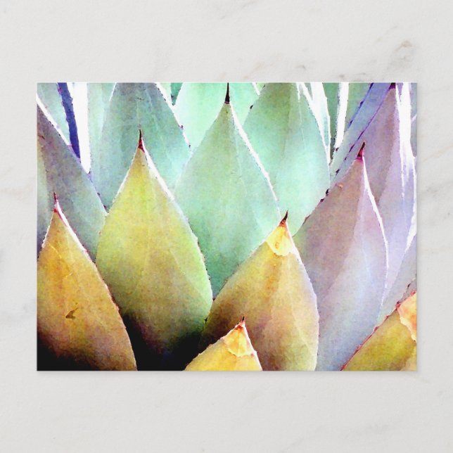 Cartão Postal Planta de século n.o 1 (Frente)