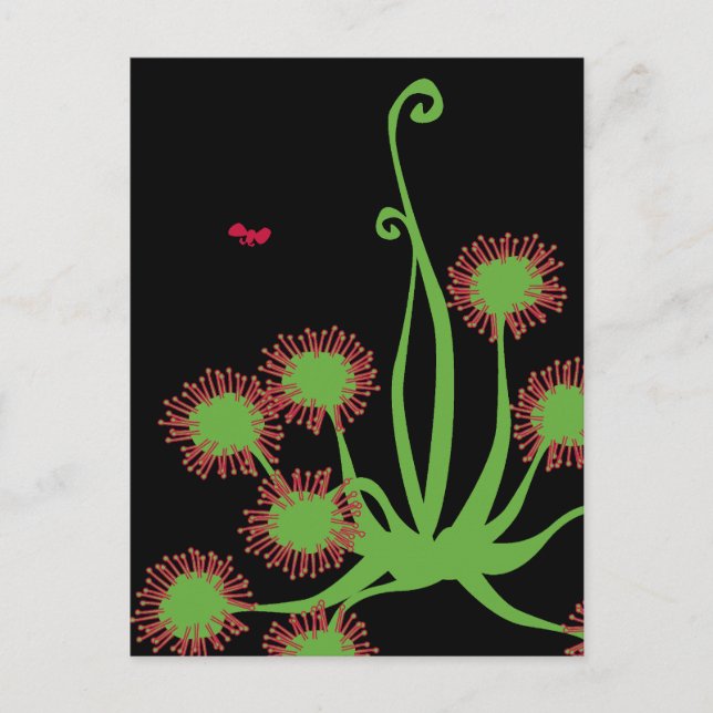 Cartão Postal Planta de Sol Carnívora (Frente)