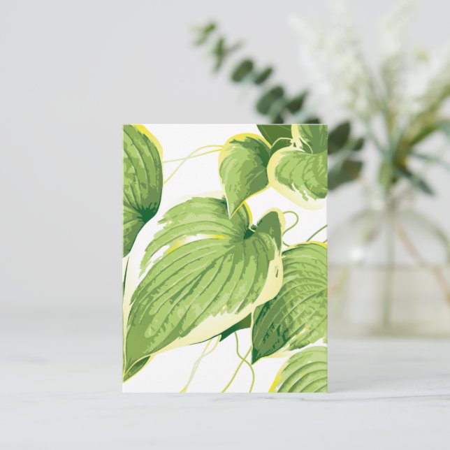 Cartão Postal Planta Ficus 2 (Em pé/Frente)