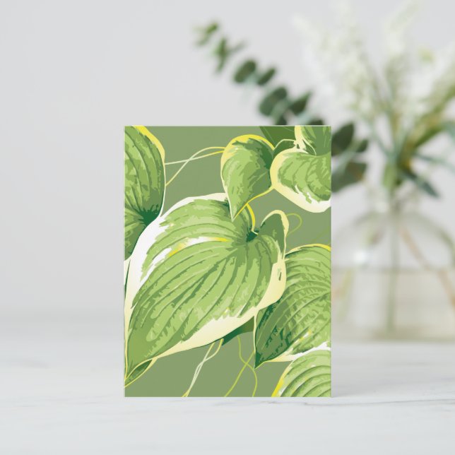 Cartão Postal Planta Ficus 5 (Em pé/Frente)