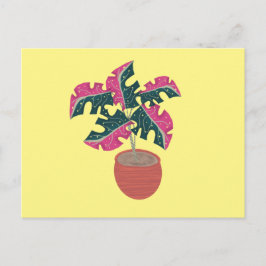 Cartão Postal Planta Monstera Variegada Rosa e Verde em Vaso