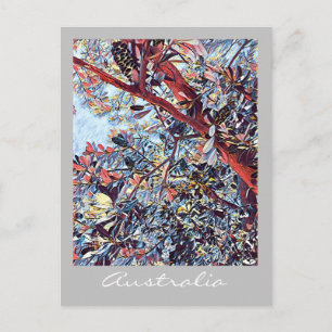 Cartão Postal planta nativa australiana Banksia