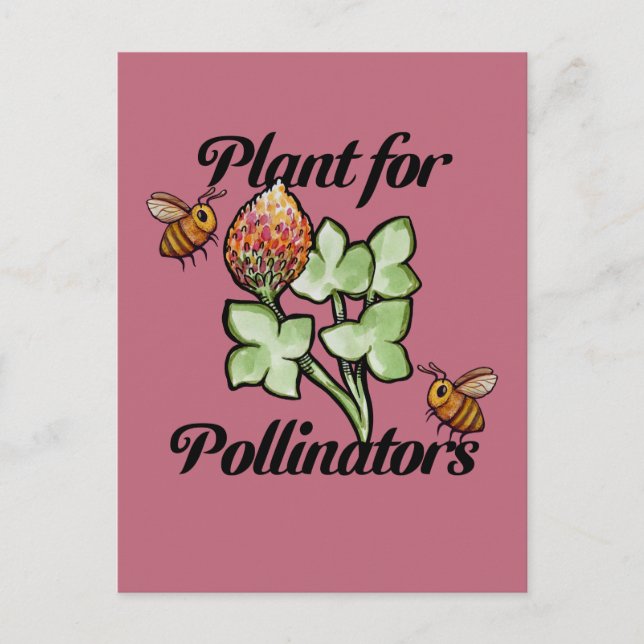 Cartão Postal Planta para Abelhas Polinizadoras                  (Frente)