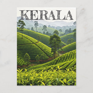 Cartão Postal Plantação de Chá Kerala Índia