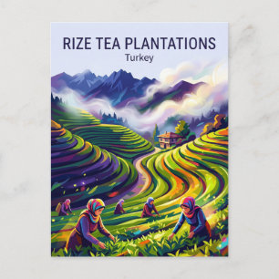 Cartão Postal Plantações de Chá de Rize Turquia