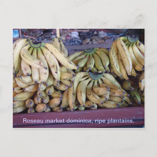 Cartão Postal plantains maduros. (Frente)