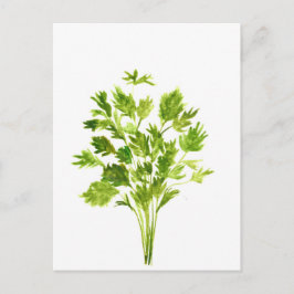 Cartão Postal Plantas de salsa Plantas aquáticas de salsa verdes
