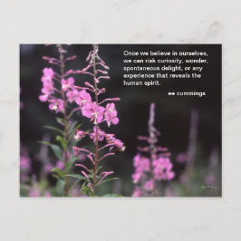 Cartão Postal Plantas do Fireweed - citações dos cummings da EE