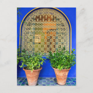 Cartão Postal Plantas em Vasos no Jardim