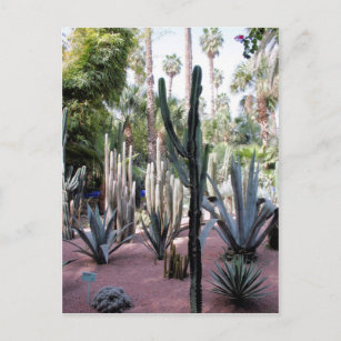 Cartão Postal plantas exóticas majorelle