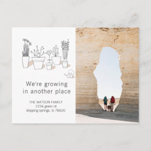 Cartão Postal Plantas Modernas   Cartão-postal de lançamento m