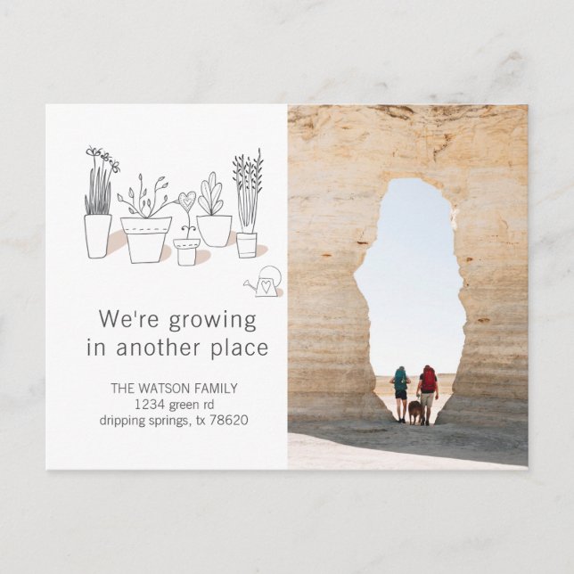 Cartão Postal Plantas Modernas | Cartão-postal de lançamento móv (Frente)