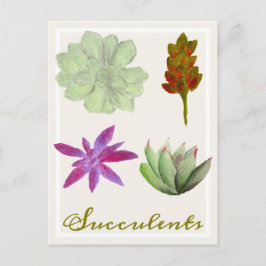 Cartão Postal Plantas Suculentas Desenhos a Lápis de Cor Postcar