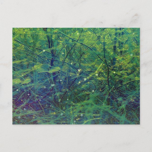 Cartão Postal Plantas verdes e luzes (Frente)