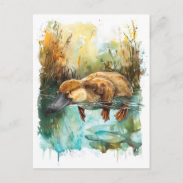 Cartão Postal Plátipo em Aquarela Nadando no Lago