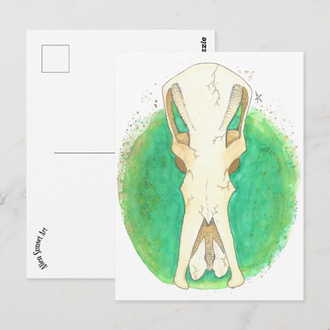Cartão Postal Platypus Skull (Frente/Verso)