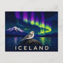 Plectrophana sob a Aurora | Islândia Icônica