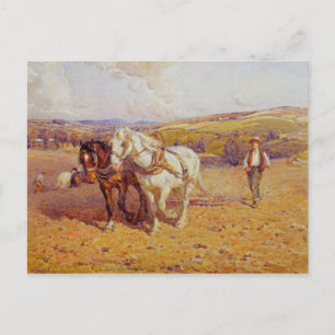Cartão Postal Ploughing