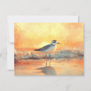 Cartão Postal Plover Permanecendo em ondas oceânicas durante o s