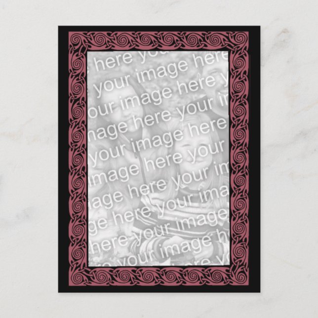 Cartão Postal Plum Celtic Knox Foto Design (Frente)